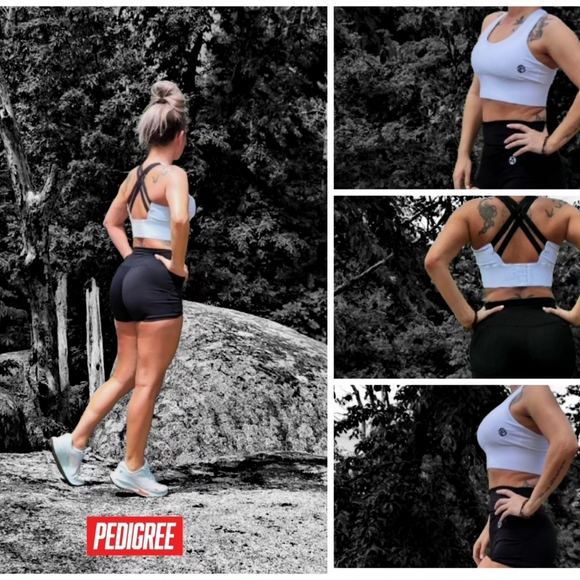 Pedigree SW | Evo-Dry Strapback Padded Sports Bra - Picture 7 of 7